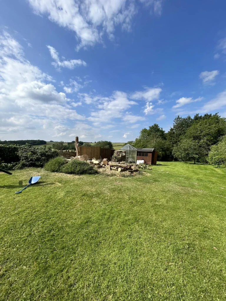 Tree Removal Process After Picture done by Tree Surgeon in Oakham